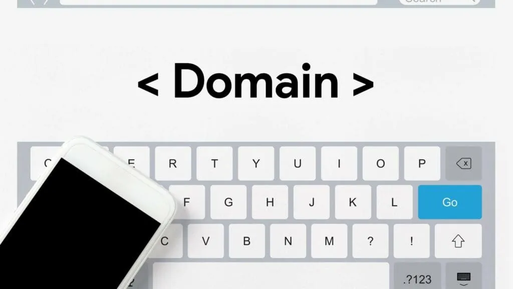 Should You Buy An Expired Domain for Your Photography Site?